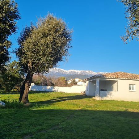 Location "Casa Monna" Apartment Prunelli-di-Fiumorbo Exterior photo